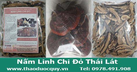 Nấm linh chi đỏ sapa thái lát phơi khô